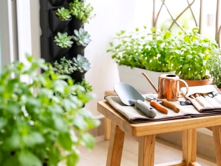 Gardening in an Apartment? Ditch the Bulk With These Compact Tools