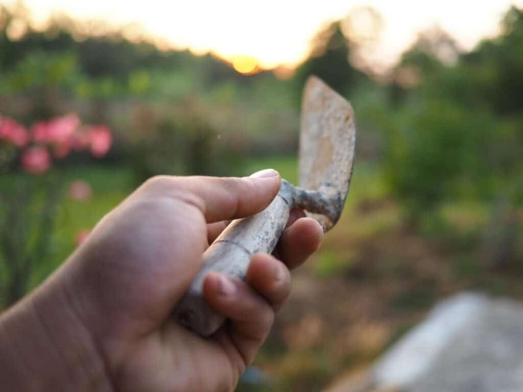 What Is a Garden Trowel